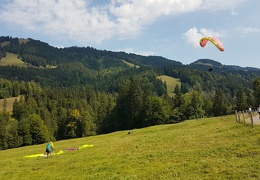 20180817 110303 (Large) (79 visits) 20180817 110303 (Large)