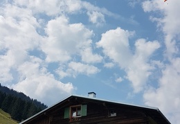 20180817 114542 (Large) (88 visits) 20180817 114542 (Large)