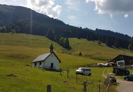 20180817 125302 (Large) (87 visits) 20180817 125302 (Large)