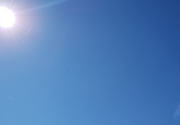 20180827 152633 (134 visits) 20180827 152633