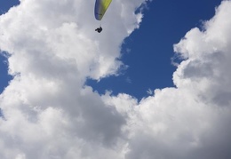 20180903 152206 (223 visits) 20180903 152206