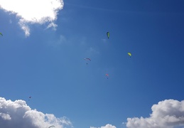 20180905 110625 (214 visits) 20180905 110625