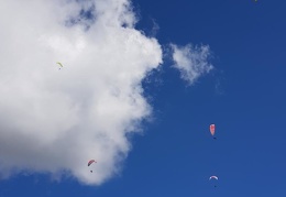20180906 113727 (167 visits) 20180906 113727