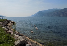 DSCN0192 (62 visits) DSCN0192