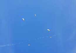 20180912 122731 (157 visits) 20180912 122731