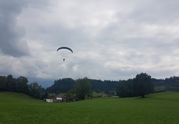 20180904 150310 (Large) (77 visits) 20180904 150310 (Large)