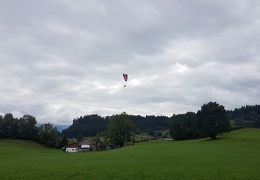 20180903 121158 (Large) (145 visits) 20180903 121158 (Large)