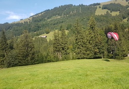 20180906 113449 (Large) (77 visits) 20180906 113449 (Large)