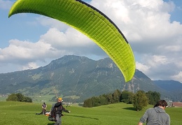 20180904 174149 (Large) (88 visits) 20180904 174149 (Large)