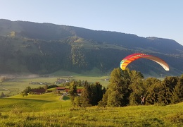 20180905 074618 (Large) (102 visits) 20180905 074618 (Large)