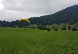 20180903 124254 (Large) (124 visits) 20180903 124254 (Large)