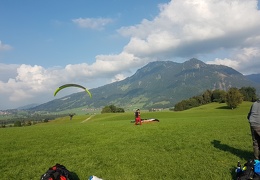 20180904 174131 (Large) (112 visits) 20180904 174131 (Large)