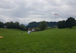 20180903 132508 (Large) (154 visits) 20180903 132508 (Large)
