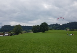 20180903 134425 (Large) (109 visits) 20180903 134425 (Large)