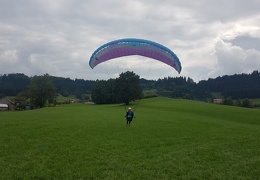 20180904 150125 (Large) (130 visits) 20180904 150125 (Large)