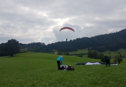 20180904 150407 (Large) (115 visits) 20180904 150407 (Large)