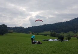 20180904 150406 (Large) (122 visits) 20180904 150406 (Large)