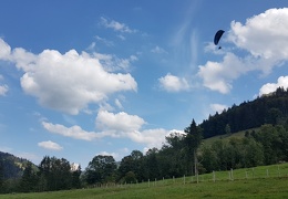 20180906 143323 (Large) (115 visits) 20180906 143323 (Large)