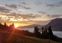 20180906 065351 (Large) (100 visits) 20180906 065351 (Large)