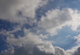 20181001 164125 (110 visits) 20181001 164125