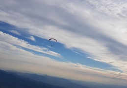 20181002 172905 (195 visits) 20181002 172905