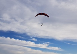 20181002 173550 (179 visits) 20181002 173550