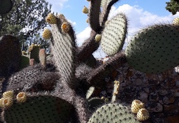 20181020 124503 (116 visits) 20181020 124503