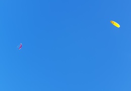 20181101 144334 (131 visits) 20181101 144334