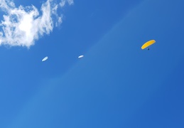 20181101 144350 (120 visits) 20181101 144350