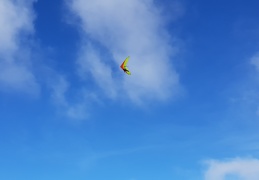 20181102 134252 (101 visits) 20181102 134252