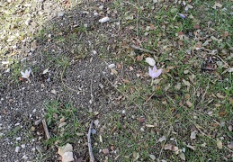 20181103 105117 (162 visits) 20181103 105117