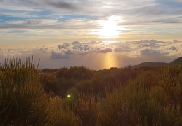 20181116 074537 (144 visits) 20181116 074537