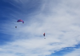 20181208 123844 (87 visits) 20181208 123844