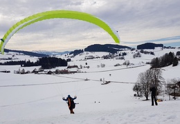 20190224 132208 (28 visits) 20190224 132208
