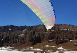 20190225 145258 (23 visits) 20190225 145258