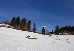 20190226 135433 (22 visits) 20190226 135433