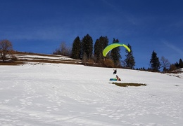 20190226 135437 (25 visits) 20190226 135437