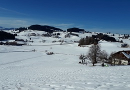 Foto 01.03.19, 09 00 52 (1) (24 visits) Foto 01.03.19, 09 00 52 (1)