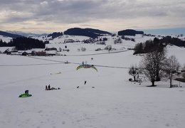 vlcsnap-2019-03-03-18h02m18s733 (30 visits) vlcsnap-2019-03-03-18h02m18s733