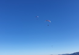 20190225 173952 (44 visits) 20190225 173952