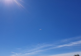 20190227 142005 (56 visits) 20190227 142005