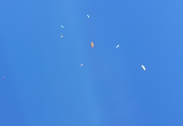 20190227 142517 (55 visits) 20190227 142517