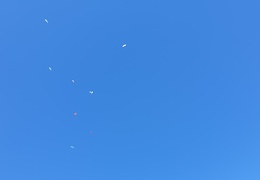 20190227 142613 (57 visits) 20190227 142613
