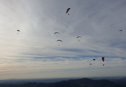 20190227 171321 (60 visits) 20190227 171321
