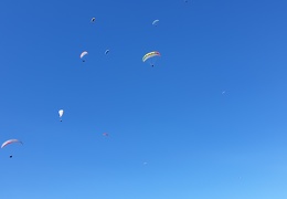 20190228 154016 (77 visits) 20190228 154016