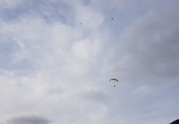 20190306 162423 (42 visits) 20190306 162423