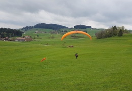 20190504 100026 (31 visits) 20190504 100026