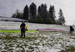 20190506 093546 (28 visits) 20190506 093546