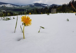 20190506 115737 (32 visits) 20190506 115737