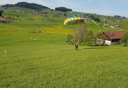 20190507 100211 (29 visits) 20190507 100211
